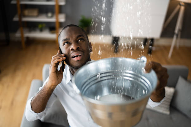 Best Water damage cleanup near me  in Ranlo, NC