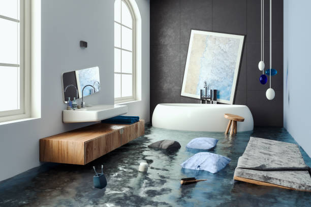 Best Mold removal after water damage  in Ranlo, NC