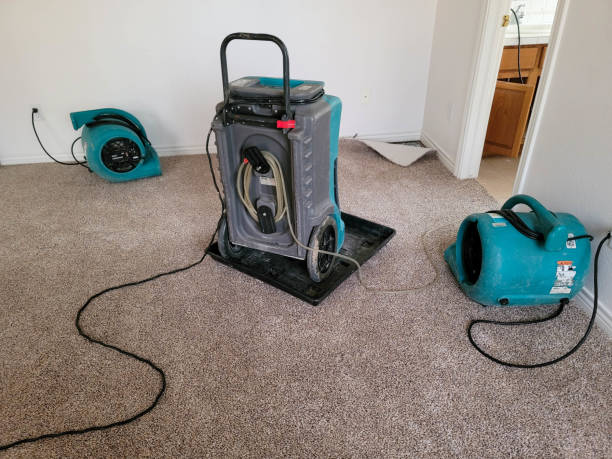 Best Basement water damage restoration  in Ranlo, NC