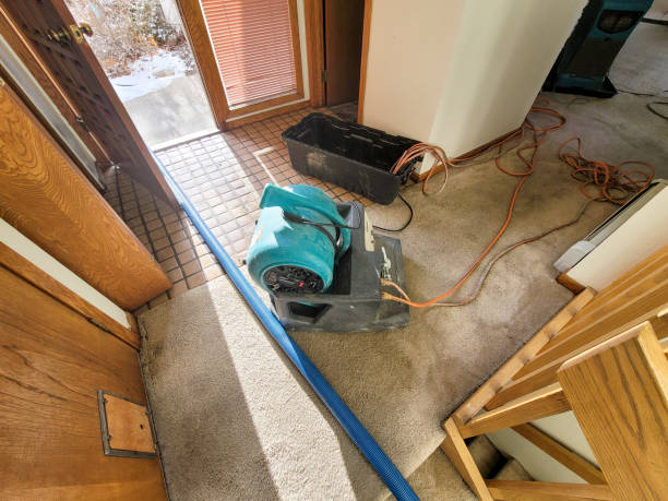 Water damage restoration experts in Ranlo, NC