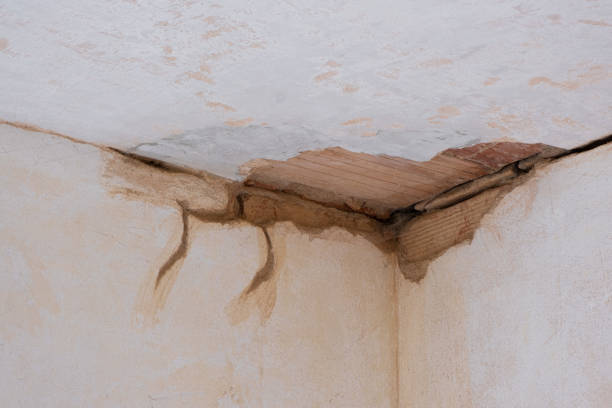 Best Basement water damage restoration  in Ranlo, NC
