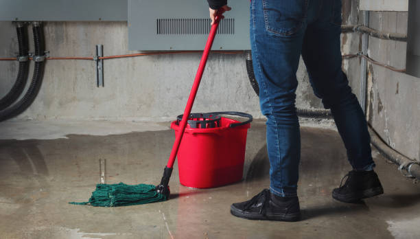 Best Flood damage cleanup  in Ranlo, NC