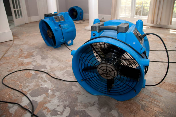Best Ceiling water damage repair  in Ranlo, NC
