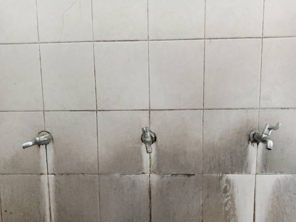 Best Ceiling water damage repair  in Ranlo, NC