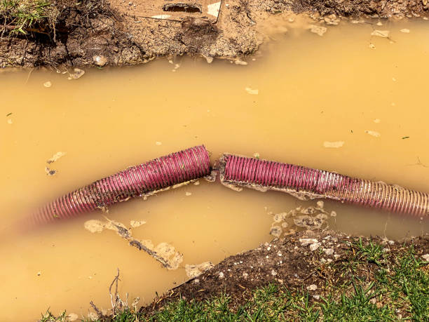 Best 24/7 water damage repair  in Ranlo, NC