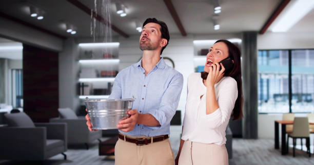 Best Fire Damage Restoration  in Ranlo, NC